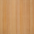 Nørdus fineerband Spring Larch product photo