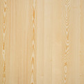 Nørdus fineerband Clean Spruce product photo